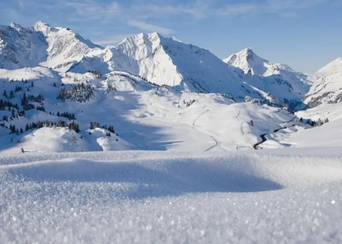 Casa de hóspedes Bucher 3*